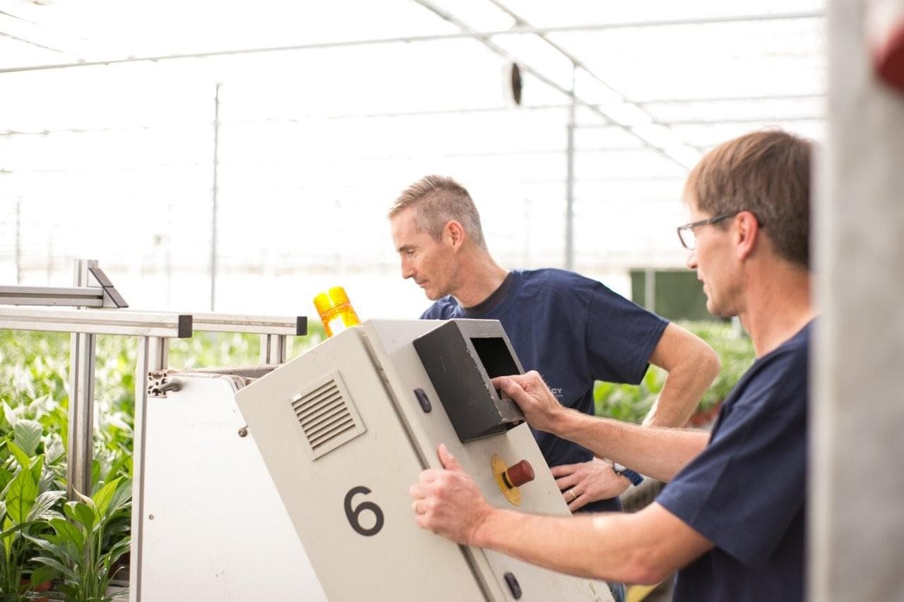 Corné Houtepen aan het werk in zijn kwekerij